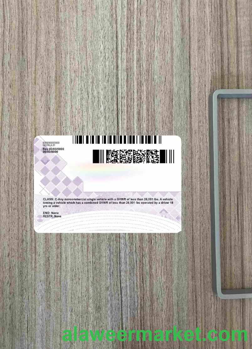 USA North Carolina driving license under 21 photolook BACK